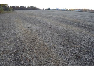 Property photo 73 - 127 Acres Offered in 8 Tracts - Allen & Dekalb County Land